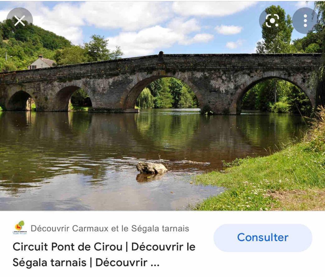 Le Gite De Las Peyros Mirandol-Bourgnounac Exterior foto